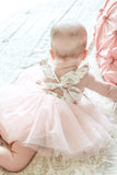 Pink Summer Baby Girls Dress Tulle  Toddler Birthday Tutu Tea Party Dress